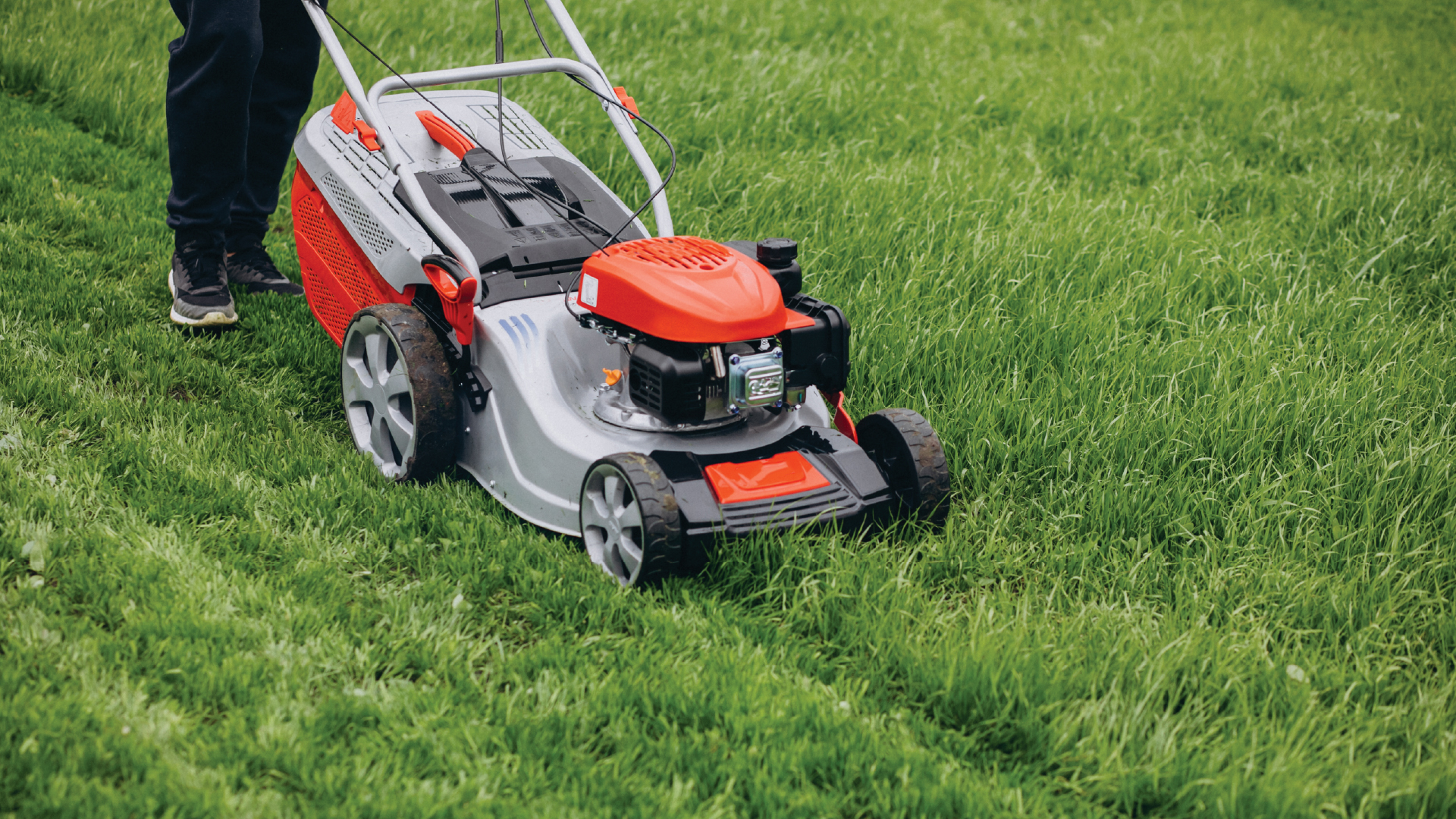 Bolu çim biçme ve bahçe bakımı hizmeti